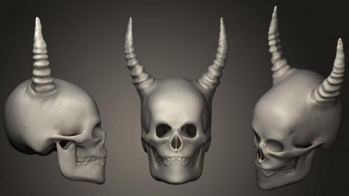 Anatomy of skeletons and skulls (ANTM_0399) 3D model for CNC machine